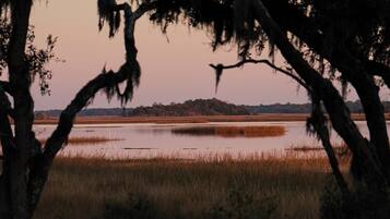 A natural landscape with trees and a body of water.