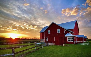 A red barn with a blue roof, surrounded by a wooden fence and green grass. - Large Farmhouse near RA & golf.  Breakfast Included with lots of room for all! (Plymouth)