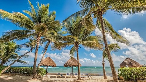 A beach with palm trees, thatched umbrellas, and lounge chairs. - Relax in Your Private Beachfront Retreat, Surrounded by Breathtaking Ocean Views (Akumal)