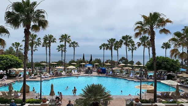 A pool area with palm trees, lounge chairs, and umbrellas.