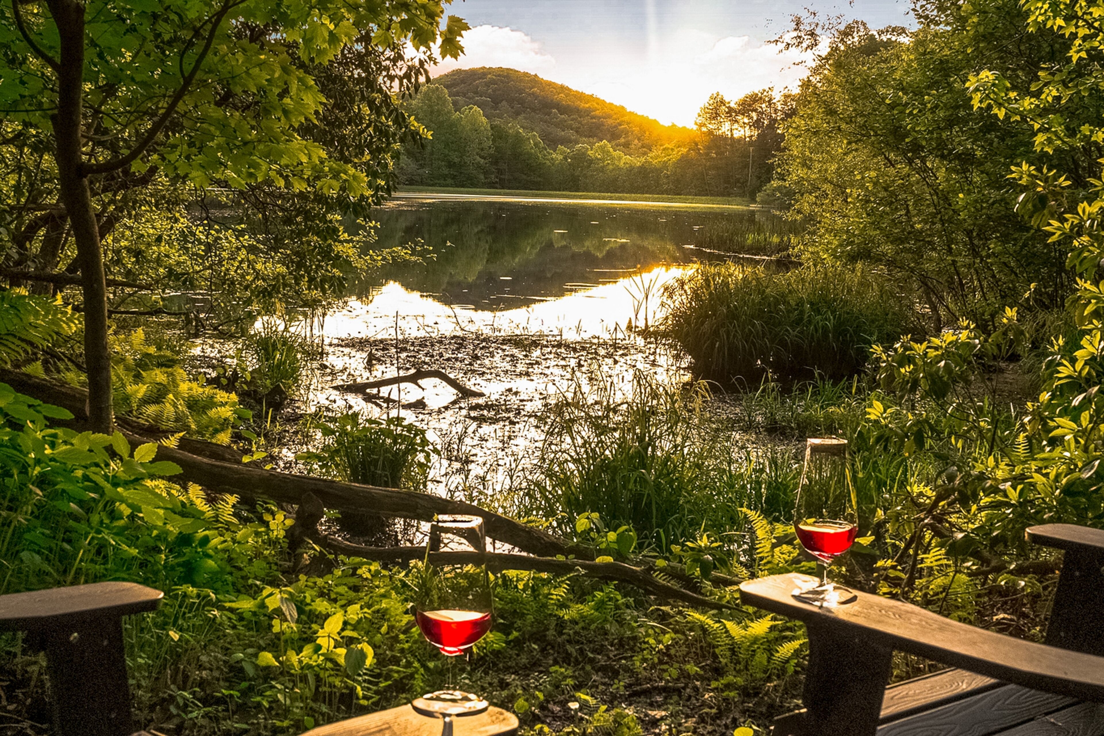 Waterfall Lake Retreat- Kayaks, lake, & hot tub