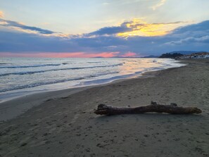 Une plage avec un tronc d’arbre, des vagues et un coucher de soleil.