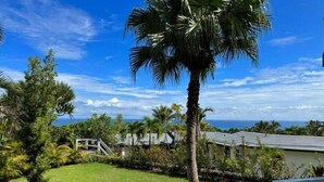 Ein üppiger Garten mit einer Palme, einer grünen Rasenfläche und Blick auf das Meer.