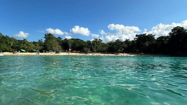 Una spiaggia con acque turchesi cristalline, una riva sabbiosa e una fila di alberi sullo sfondo.