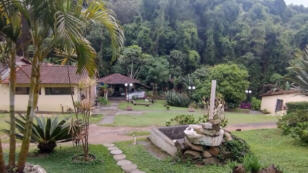 A garden with a stone pathway leading to a house with a tiled roof.