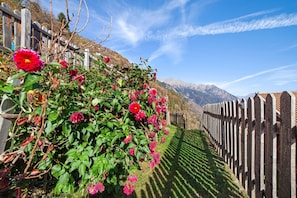 Un jardin avec une clôture en bois, un sentier et des montagnes en arrière-plan.