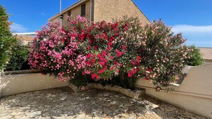 A building with a tiled roof, a stone-paved courtyard, and a flowering bush.