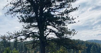 Black Hills Cabins at Quails Crossing