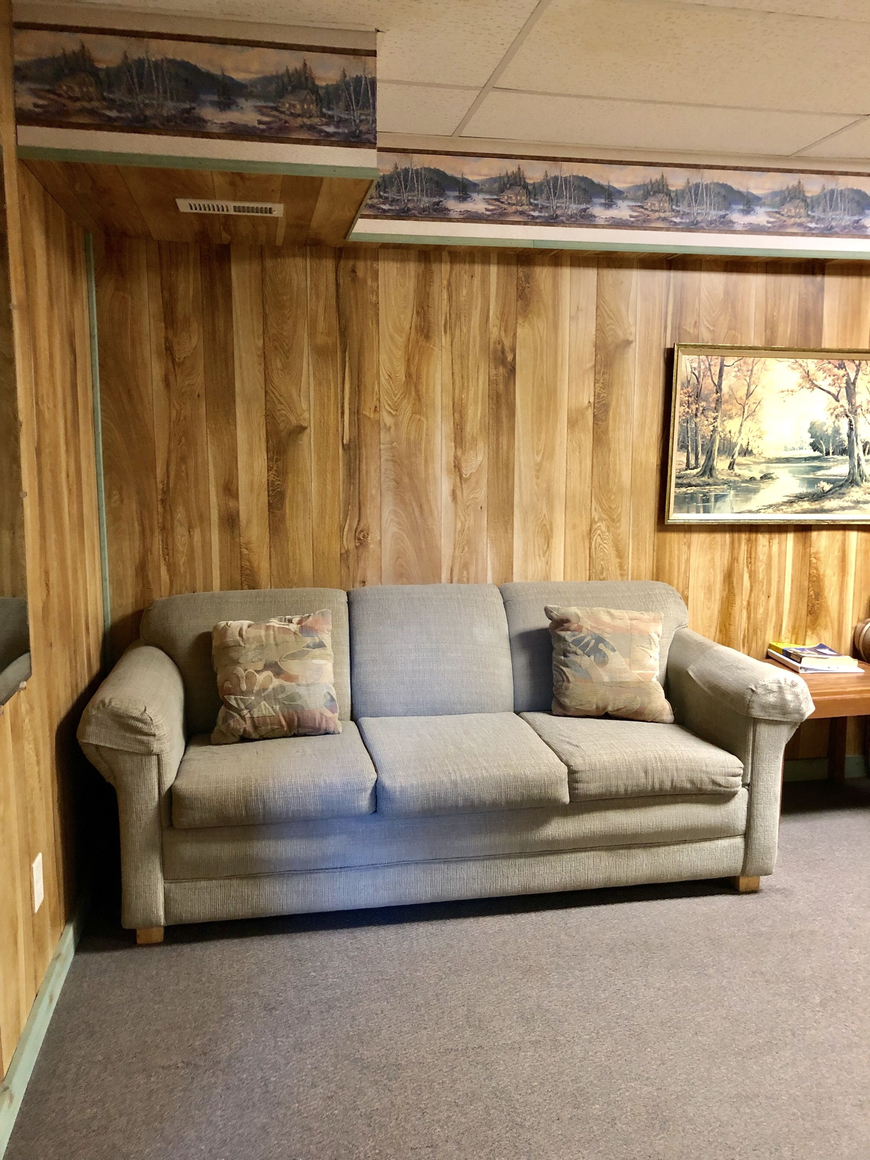 A wooden-paneled room with a beige sofa, two patterned cushions, and a painting above the sofa.