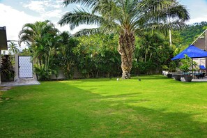 A well-maintained lawn, a palm tree, and a blue umbrella in a garden area.