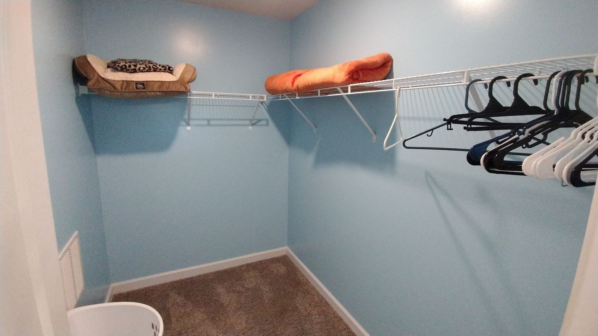 A small, enclosed room with a blue wall, a white radiator, a brown carpeted floor, a white toilet, and a metal drying rack with clothes.