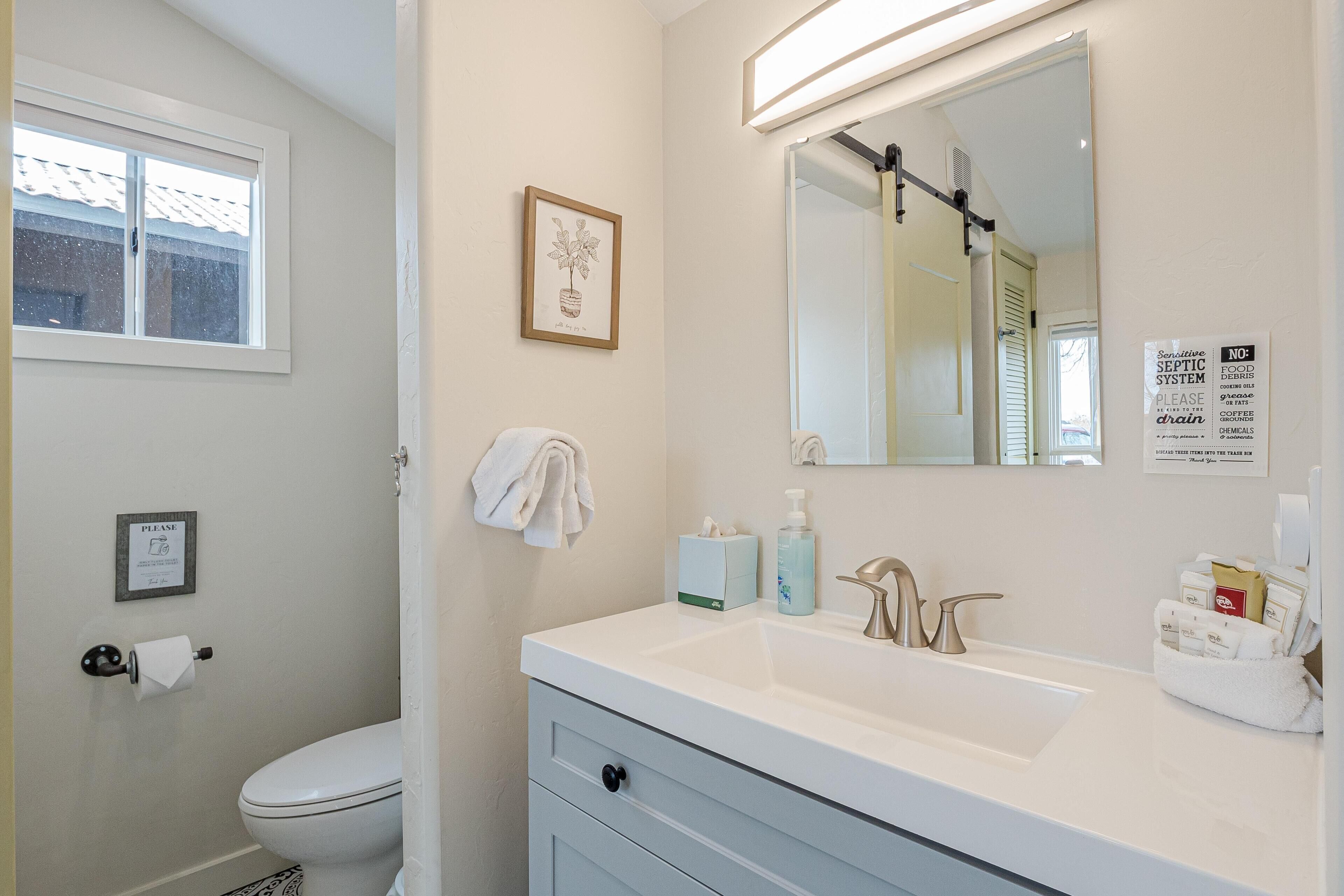 A bathroom with a toilet, sink, and mirror. There is a framed picture on the wall and a sign with instructions.