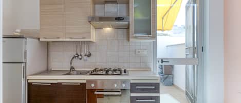 Fridge, oven, stovetop, cookware/dishes/utensils