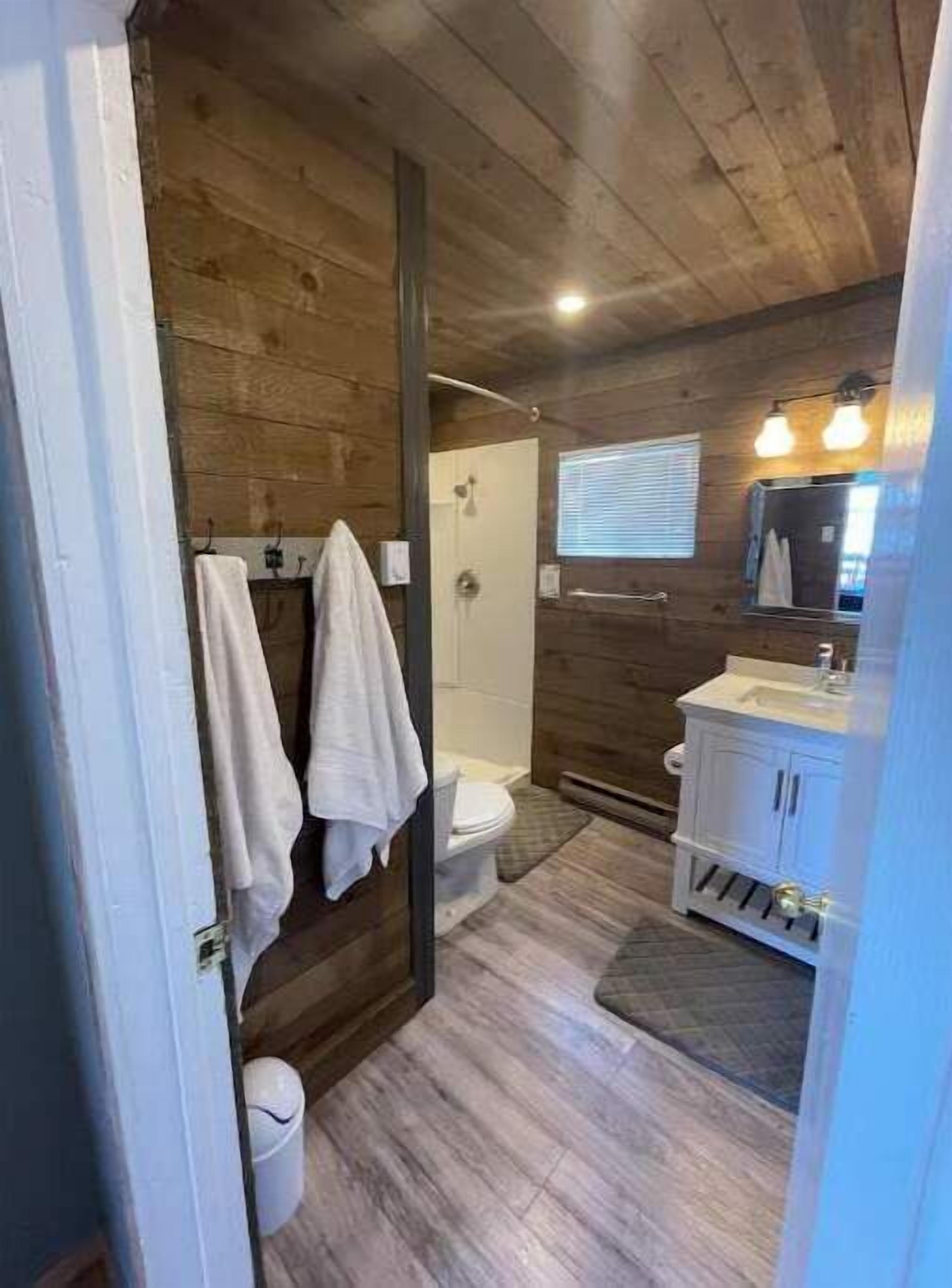 Shower, hair dryer, toilet paper