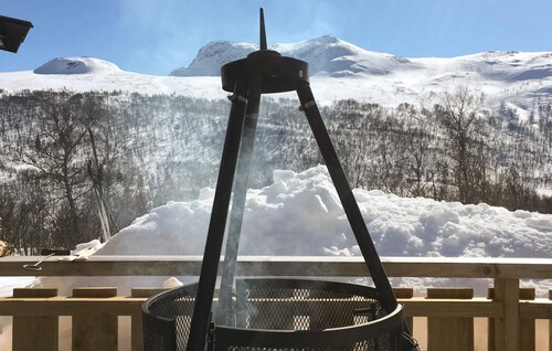 3 bedroom stunning home in Uvdal