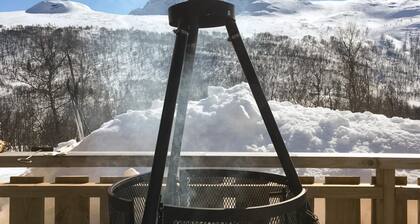 3 bedroom stunning home in Uvdal