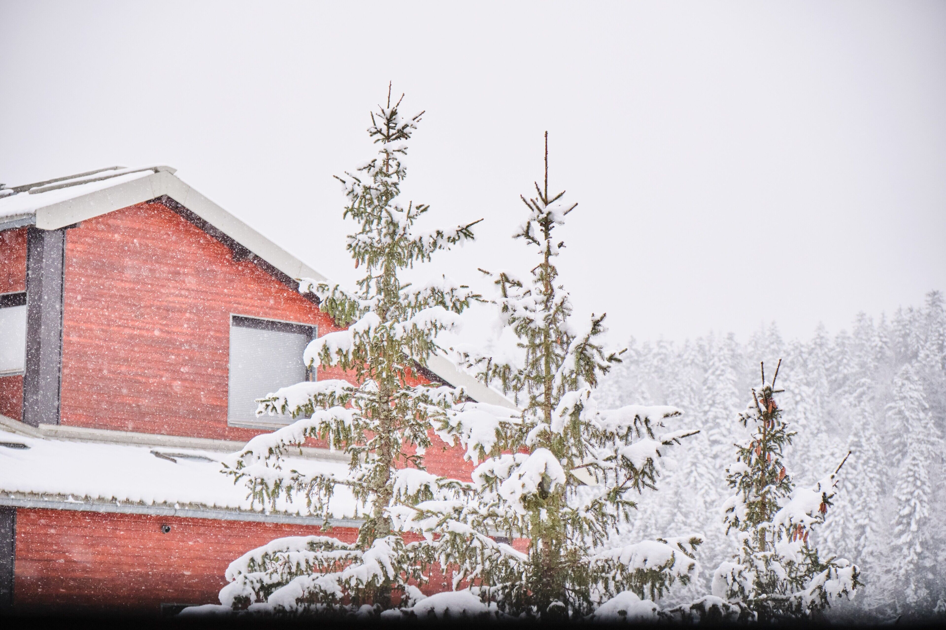 Een rood gebouw met sneeuwbedekte bomen ervoor.