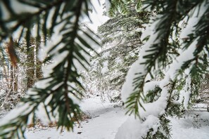 Overnattingsstedets uteområder