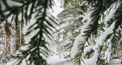 Studio 'Herbouilly' avec vue sur la montagne et balcon