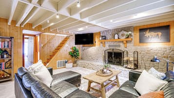 TV, fireplace, books