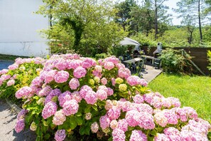 A garden with pink hydrangeas, a barbecue area, and a white building in the background.