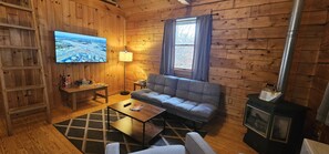 Fernseher, Kamin, DVD-Player