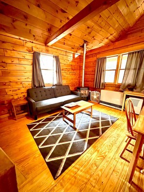 TV, fireplace, DVD player - Loon Dream - Waterfront-ATV & Snowmobile Access (Beaver Cove)