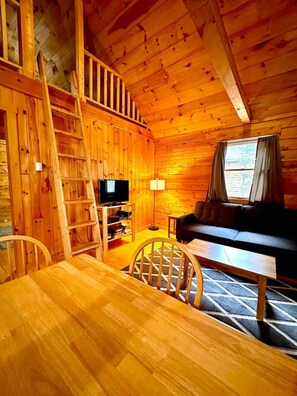 TV, fireplace, DVD player