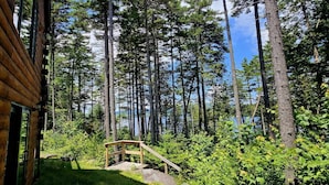 Property grounds - Loon Lodge on Wilson Pond (Greenville)