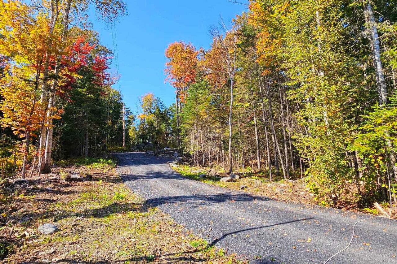 A paved road flanked by trees with autumn foliage.