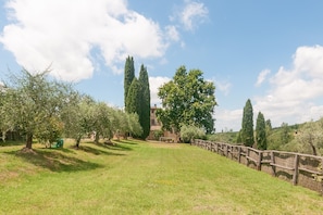 Ein grünes Feld mit Bäumen und einem Holzzaun.