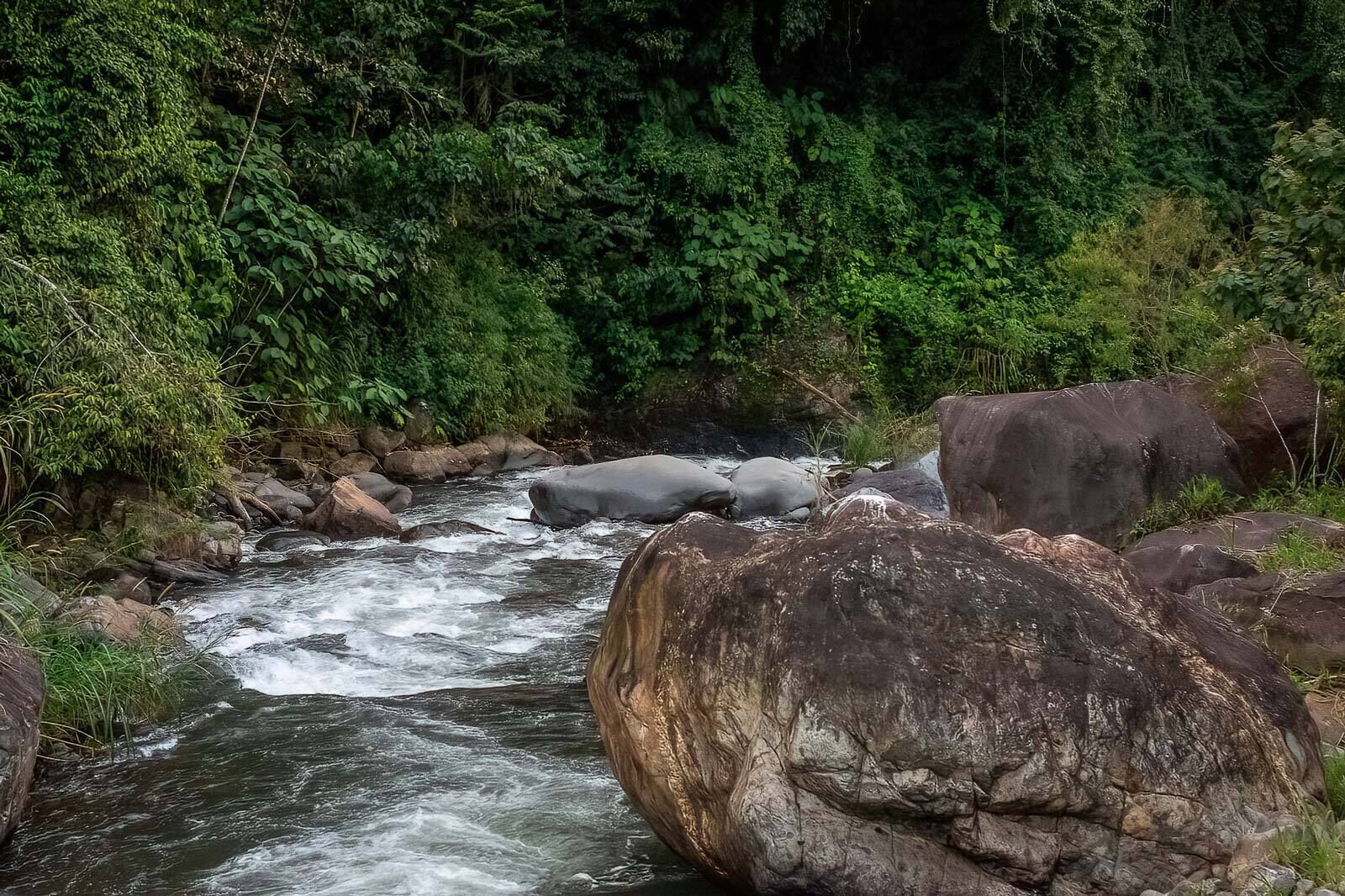 Un río que serpentea por una zona boscosa, con grandes rocas en el agua.