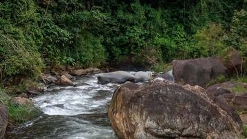 Un río que serpentea por una zona boscosa, con grandes rocas en el agua.