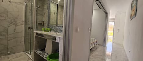 Shower, hair dryer, bidet, towels