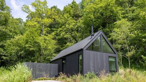 A modern, dark-colored cabin with a sloped roof, large windows, and a chimney, surrounded by dense forest.