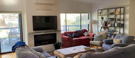Smart TV, fireplace, video games, DVD player