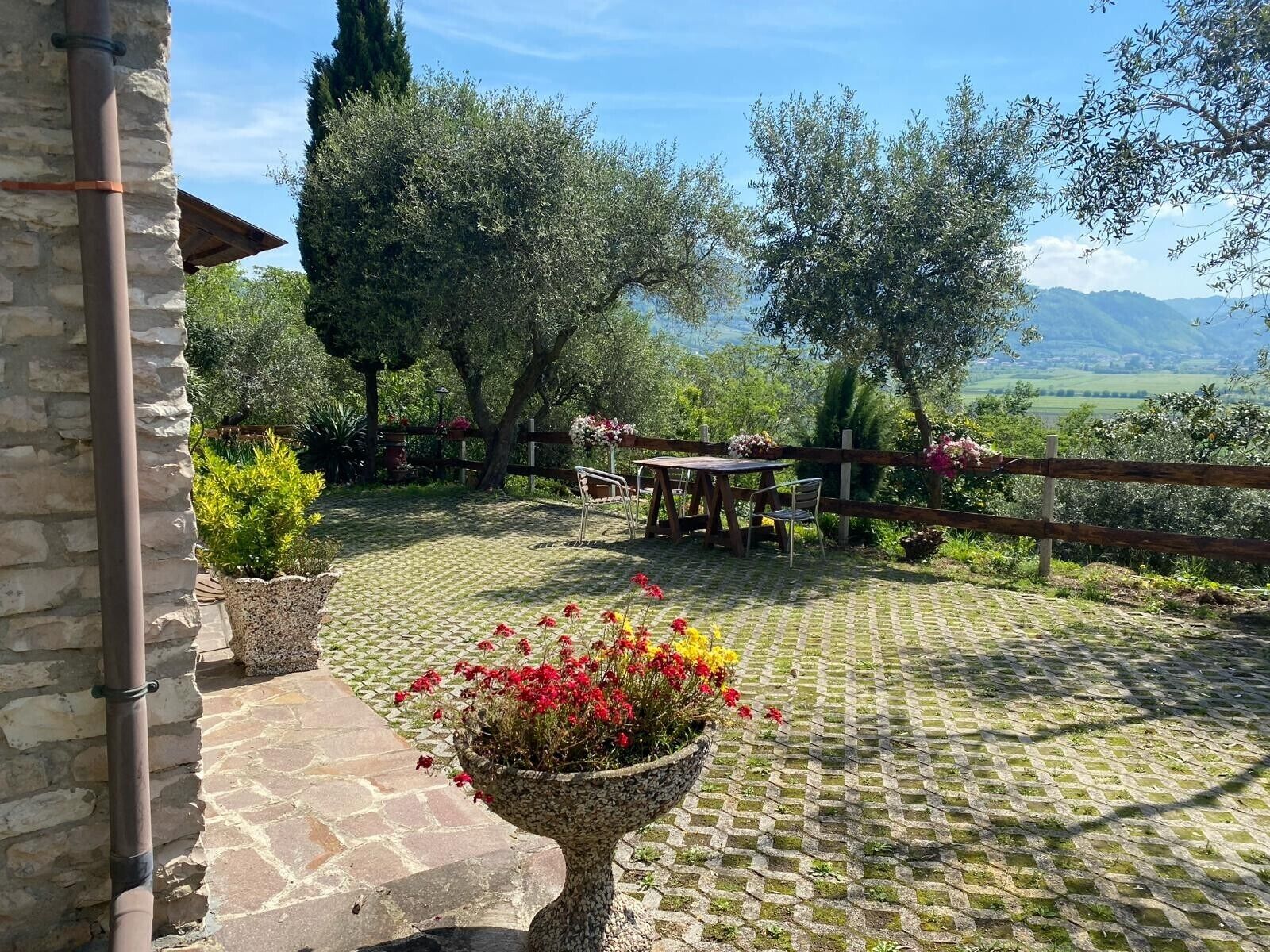 A stone patio with a table and chairs, surrounded by olive trees and a view of the countryside.