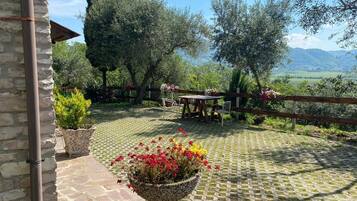 A stone patio with a table and chairs, surrounded by olive trees and a view of the countryside.
