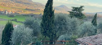 Chalet 'Olive Grove House' con terrazza privata e Wi-Fi