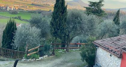 Chalet 'Olive Grove House' con terraza privada y Wi-Fi