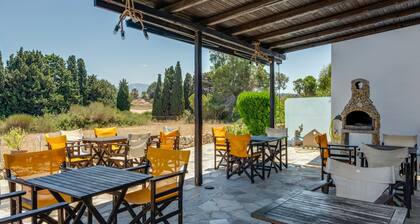 Pension 'Ilios und Irene 10' mit Gemeinschaftsterrasse, WLAN und Klimaanlage