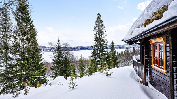 A cabin with a snow-covered roof, surrounded by tall evergreen trees and a snowy landscape.