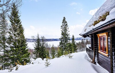 4 bedroom pet friendly home in Tydal