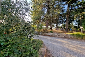 Ulkoalueet