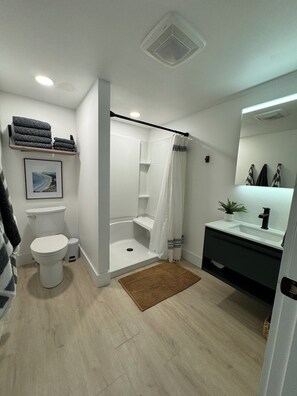 Hair dryer, towels, soap, shampoo