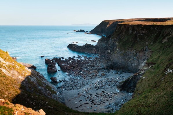 Strand