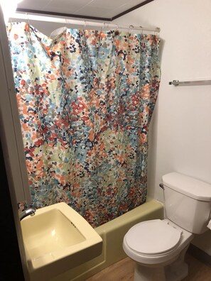 Combined shower/bathtub, towels, toilet paper - Island Falls Intown. Just off I-95. Gas/Grocery/Lounge nearby (Island Falls)