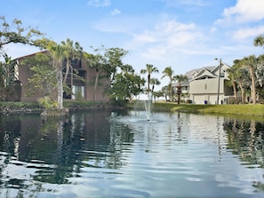 A tranquil water feature with a fountain, surrounded by lush greenery and modern buildings.