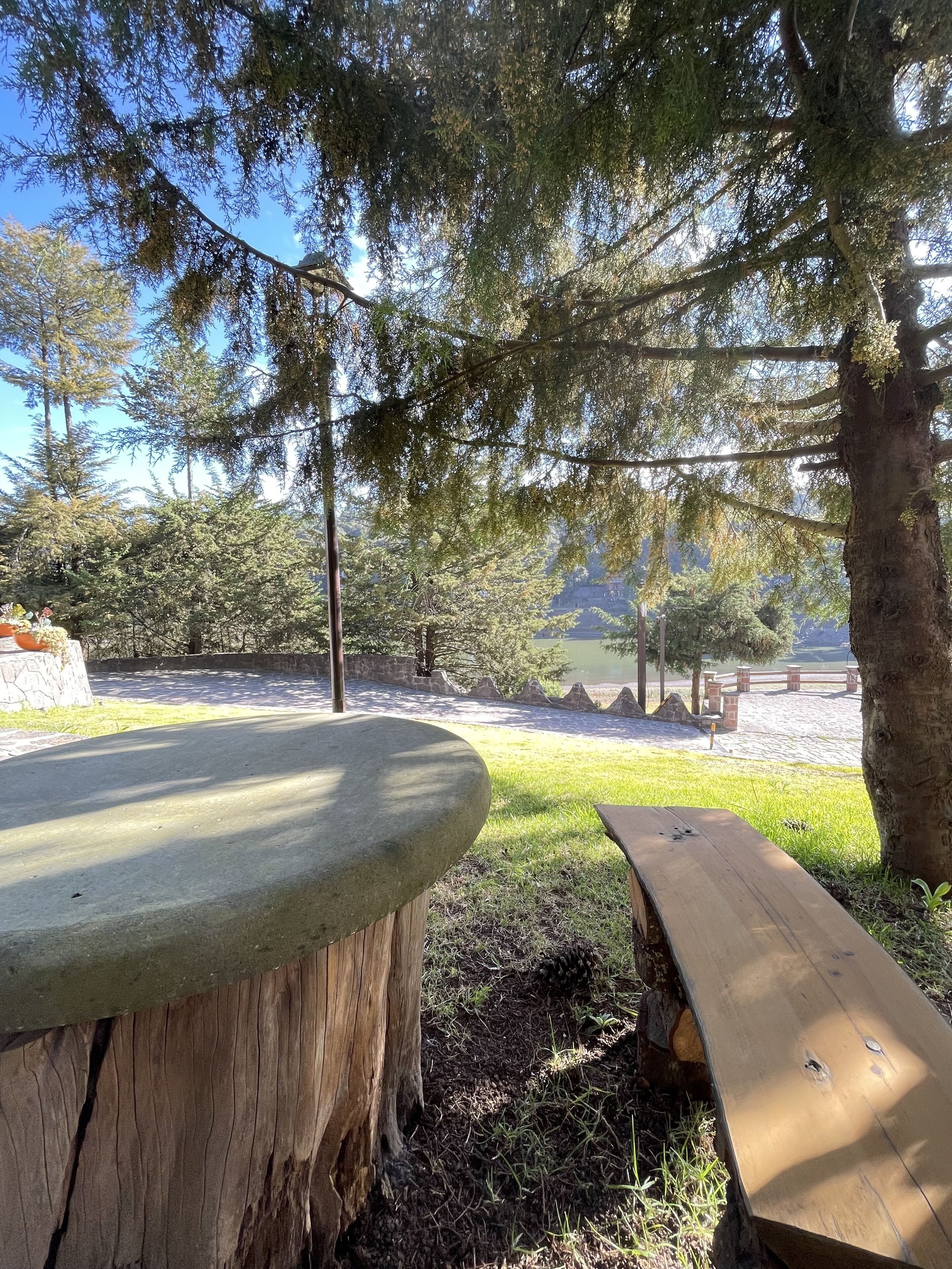 A park with a stone bench, wooden picnic table, and a stone wall.