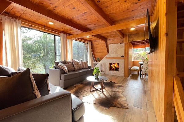 Elite Cabin | Living area | Flat-screen TV